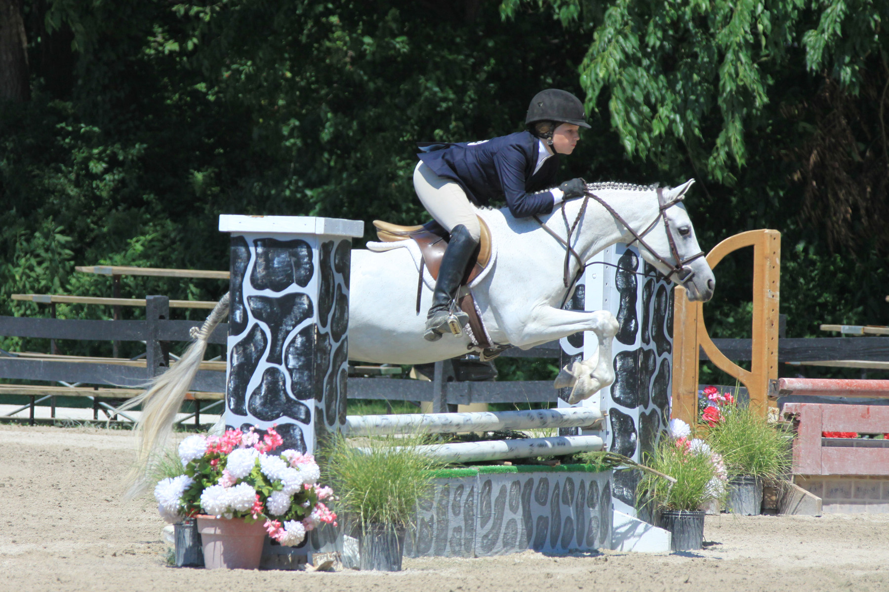 Rosmels-French-Vanilla-owned-by-Kaitlyn-McCann-ridden-by-Kelby-Kaminski-pictured-of-Chagrin-Falls-and-Emily-Bederman-credit-Anne-Gittins-Photography.jpg